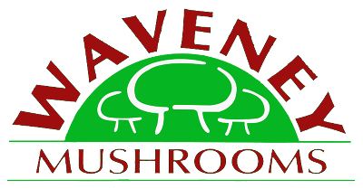 Waveney Mushrooms Ltd